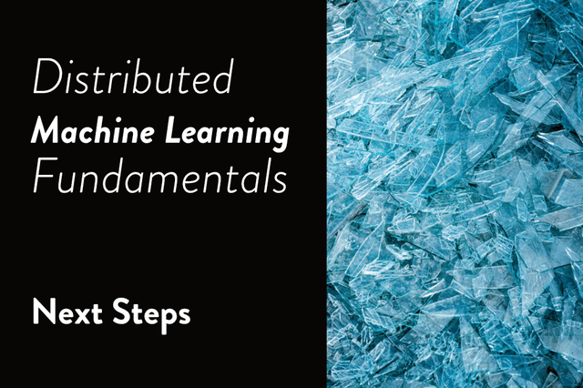 Distributed Machine Learning Fundamentals: Next Steps