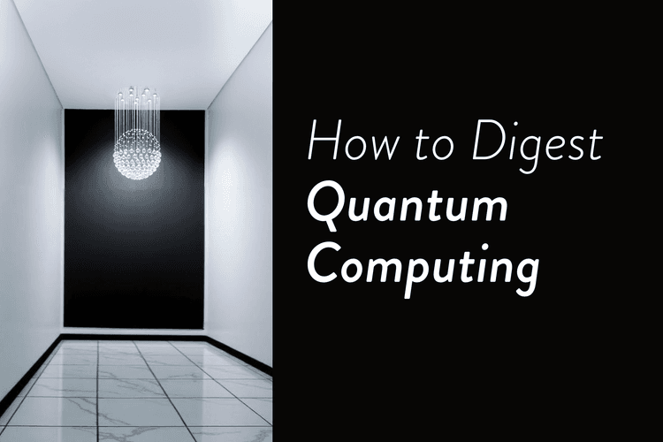 How to Digest Quantum Computing